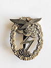 Luftwaffe Ground Assault badge by MUK